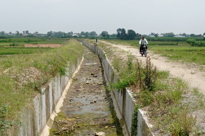 Kondisi irigasi Pariterong di Desa Ngudirejo, Kecamatan Diwek belum bisa difungsikan.