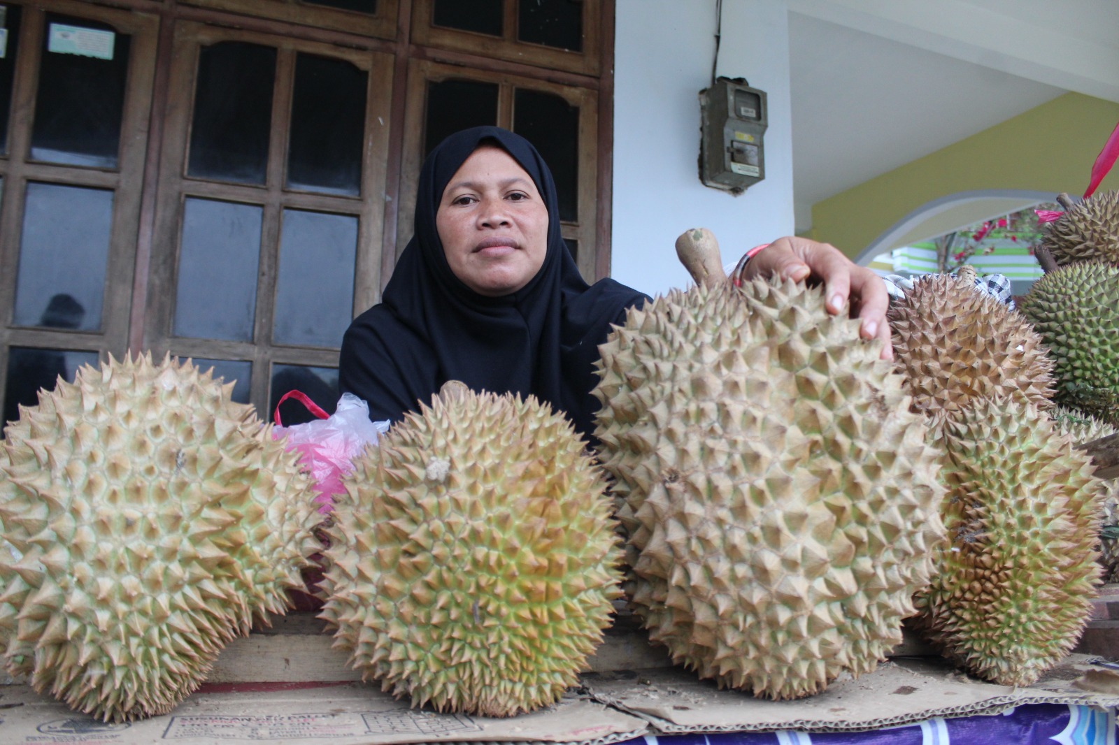 Beberapa jenis durian premium yang makin banyak dibudidayakan di Wonosalam Jombang