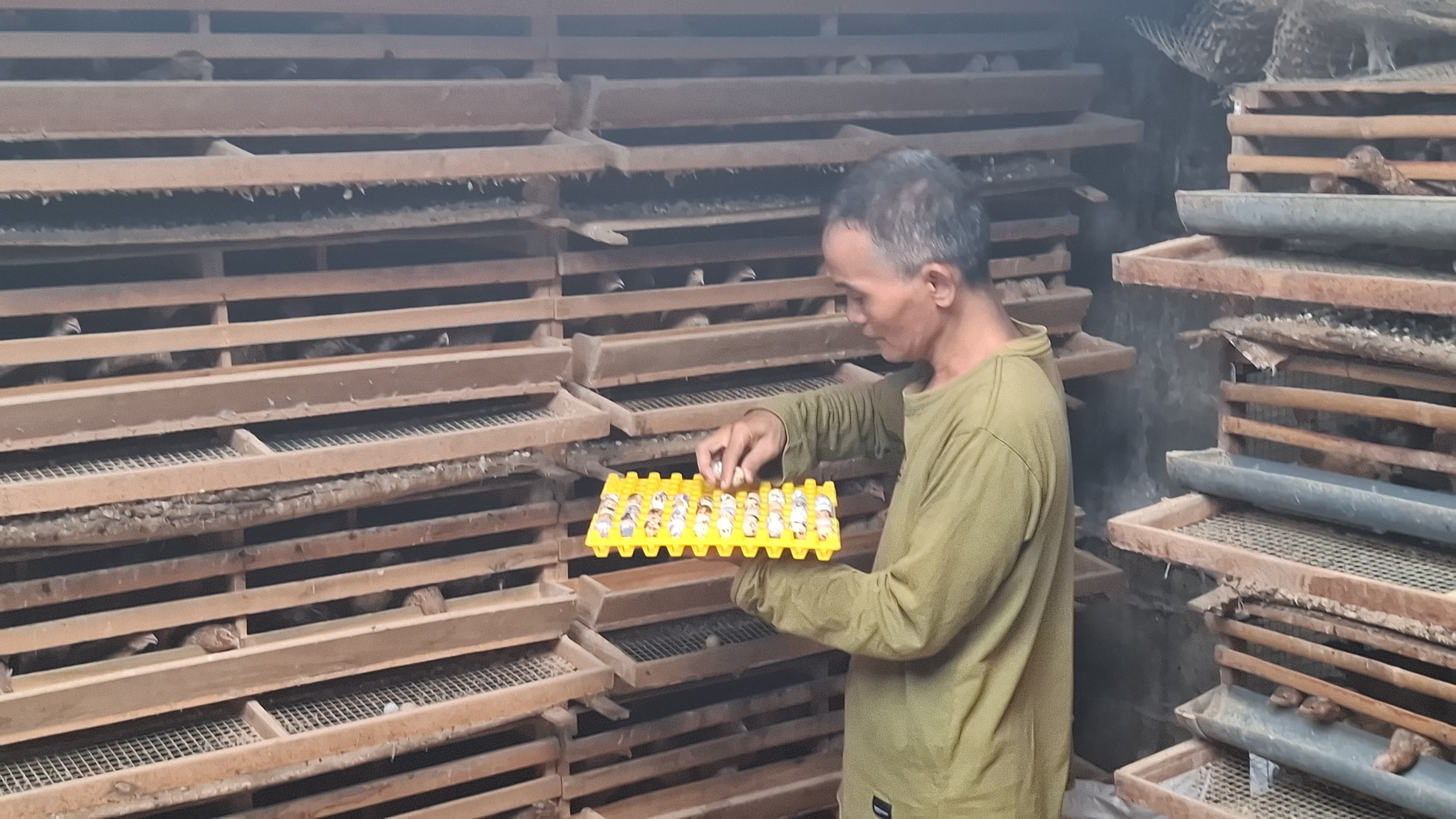 Pujiono Heru Santoso, 49, warga Desa Cangkringrandu, Kecamatan Perak mengembangkan produk telur puyuh asin asap.