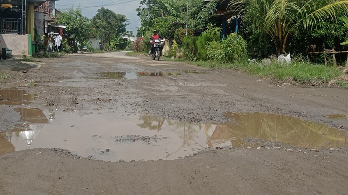 RUSAK PARAH: Jalan kabupaten di Dusun Borocilik, Desa Gedangan, Kecamatan Sumobito jadi kubangan air.