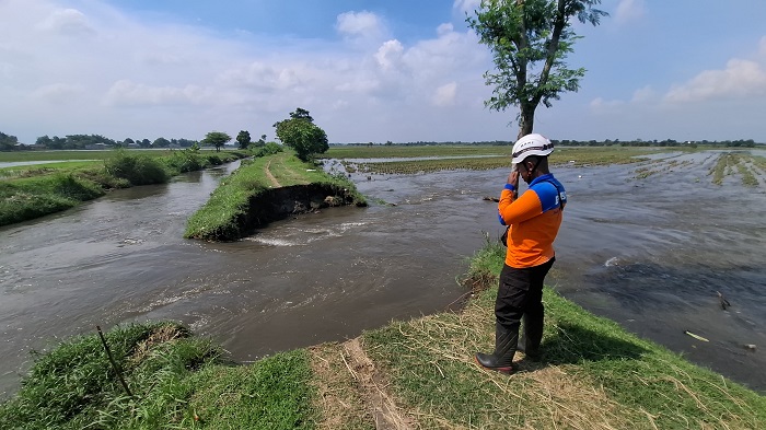 Tanggul saluran Sekunder Pilang Hilir di Desa Pucangsimo, Kecamatan Bandarkedungmulyo jebol, Selasa (13/5) pagi.