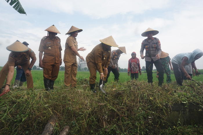 Tradisi susuk wangan yang dilakukan DPMD Jombang di Gambiran, Mojoagung
