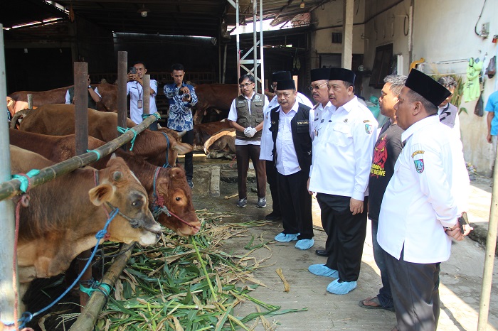 PANTAU: Bupati Jombang Warsubi saat memantau kesehatan hewan ternak di Kecamatan Jogoroto, Kamis (5/6)