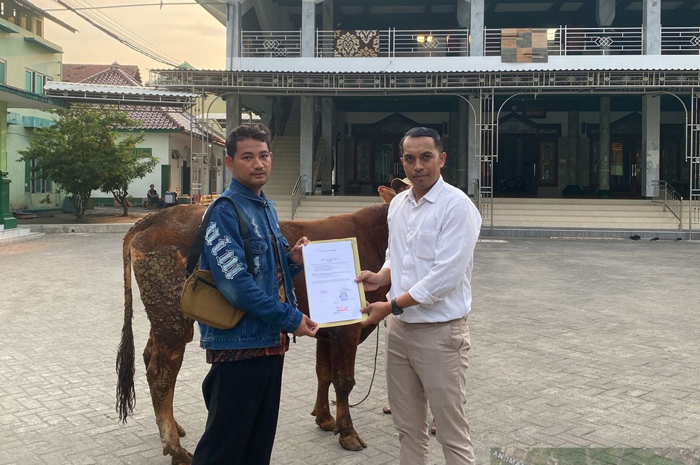 ISTIQAMAH: Bank Jatim menyerahkan hewan kurban kepada pengurus  Masjid Jami&rsquo; di Desa Denanyar, Kecamatan Jombang, Kamis (5/6).