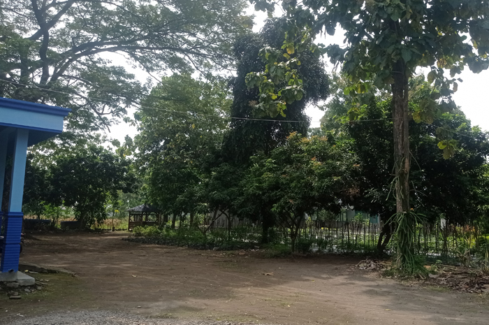 BAKAL DIPECAH: Kantor BPP (Balai Penyuluh Pertanian) Kecamatan Perak di Desa Glagahan, Kecamatan Perak sebagian akan digunakan Terminal Barang.