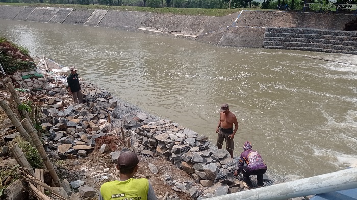 DIBRONJONG: Pekerja melakukan perbaikan tanggul Kali Gunting di Dam Banlongsono Desa Talunkidul, Kecamatan Sumobito, Minggu (29/6).