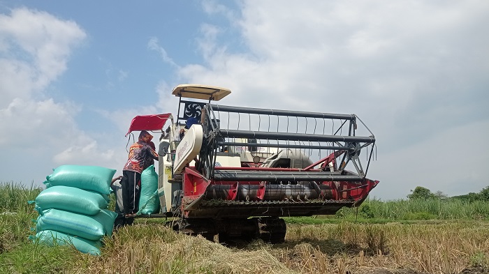 DIPANEN: Padi milik petani di Dusun/Desa Pundong, Kecamatan Diwek dipanen menggunakan mesin combine.