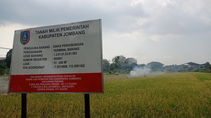 SIAP DIPANEN: Aset pemkab Terminal Barang masih berupa sawah ditanami padi di Desa Tunggorono, Kecamatan Jombang (15/7).