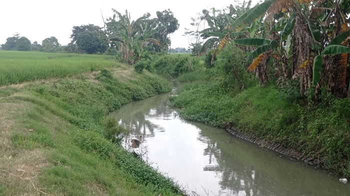 PRIROTAS: Saluran di Desa/Kecamatan Mojowarno bakal segera dilakukan penanganan (7/6).