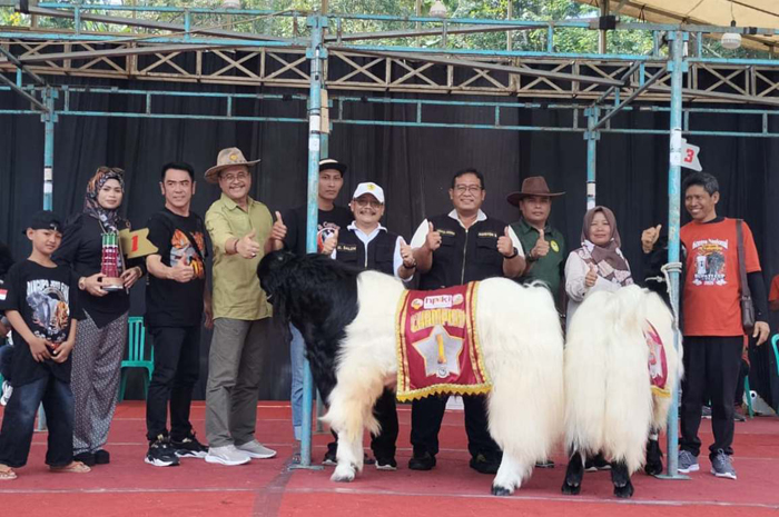 Pemkab Jombang melalui dinas peternakan sukses menggelar Kontes Nasional Kambing Peranakan Etawa (PE) Kaligesing Piala Bupati Cup 2025, Minggu (3/8).