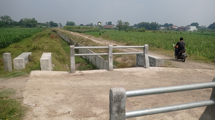 NGANGGUR: Kondisi irigasi Pariterong di Desa Kedawong, Kecamatan Diwek yang masih belum berfungsi.