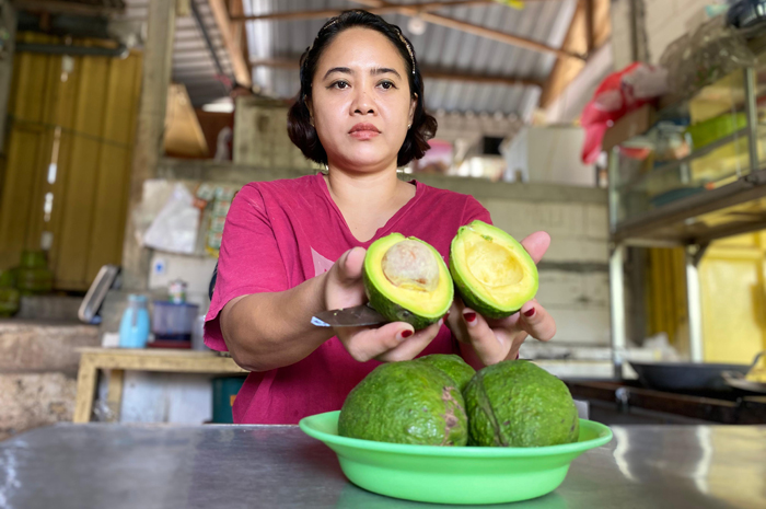 SEGAR: Intan menunjukkan alpukat mentega asli Wonosalam sebagai bahan dasar es krim.