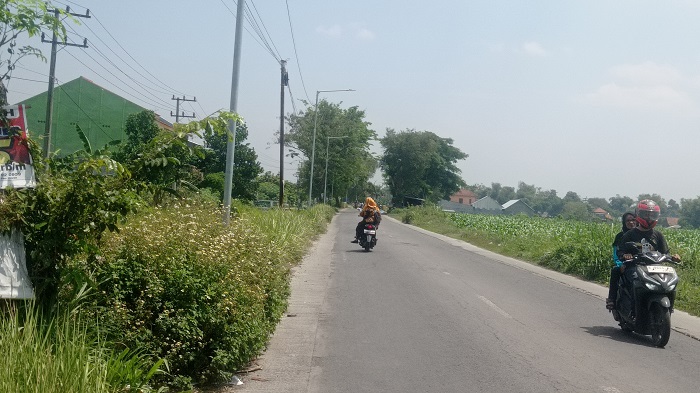 TUNTAS: Proyek PJU ruas Ceweng-Kalianyar di Desa Jarakkulon, Kecamatan Jogoroto jadi salah satu program PIK, (27/8).  &nbsp;