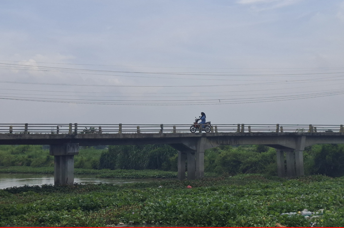 Dua jembatan di aliran Sungai Ngotok Ring Kanal dipenuhi tanaman air