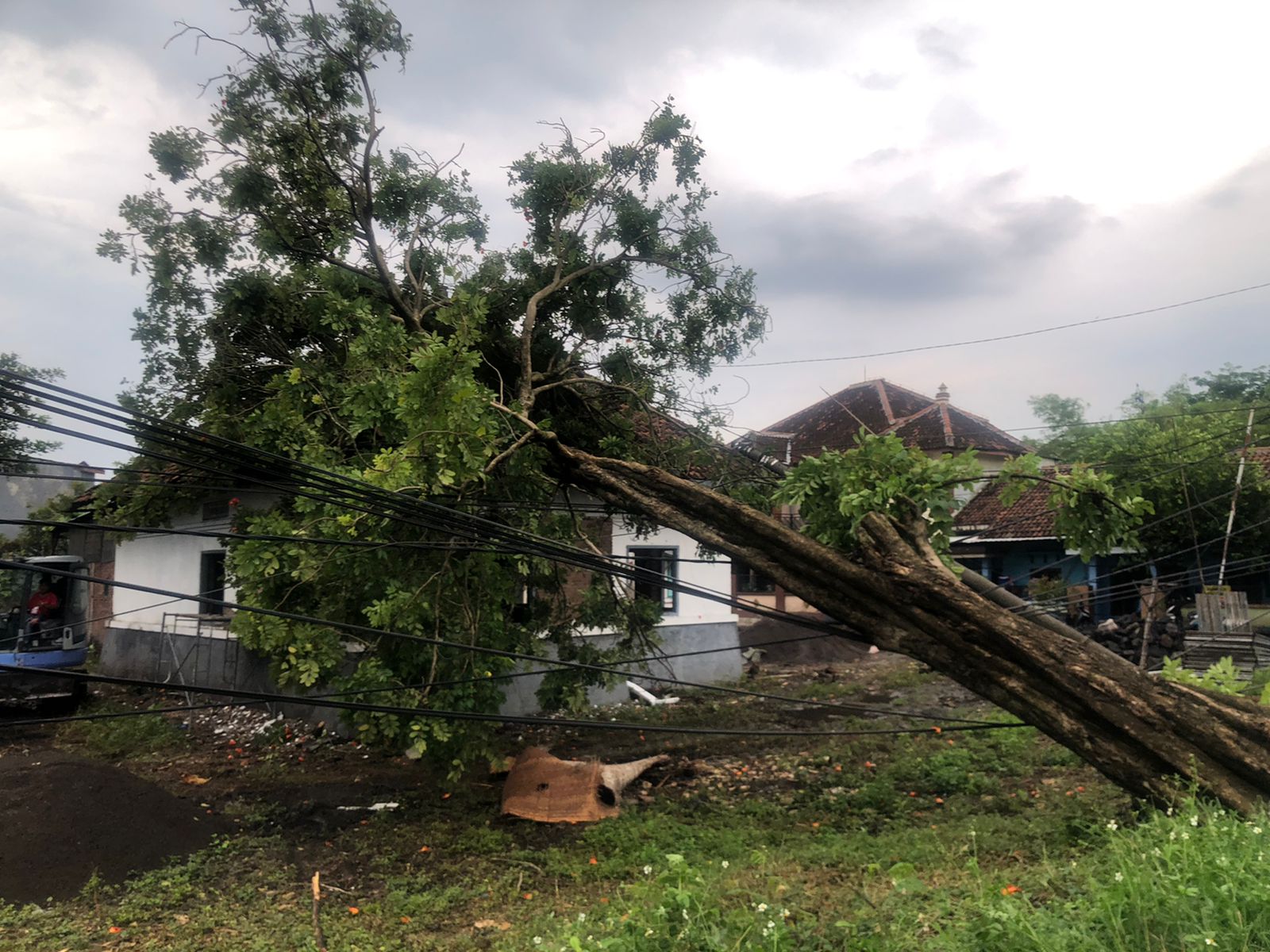 Sejumlah rumah di Kelurahan Jombatan rusak akibat angin kencang, Minggu 2 November 2025 sore.