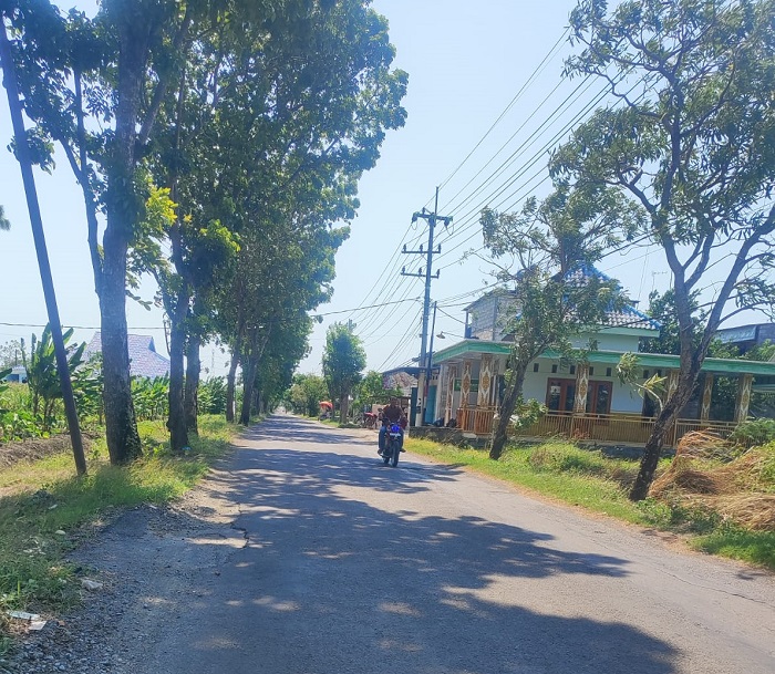 &nbsp;  RUSAK: Kondisi jalan ruas Denanyar-Sendangrejo di Desa Denanyar, Jombang salah satu masuk paket perbaikan P-APBD 2025.