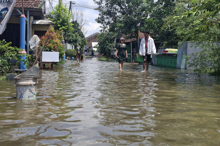 Banjir yang menggenangi sejumlah desa di kawasan utaran Brantas belum sepenuhnya surut. Salah satunya di Dusun Gotan, Desa Jatigedong, Kecamatan Ploso hingga Kamis (20/11) siang