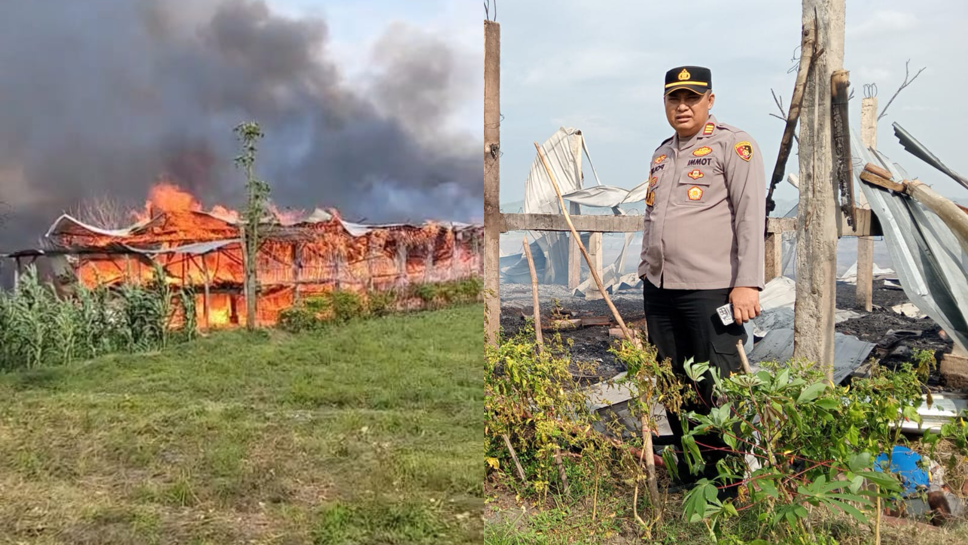 Kondisi kandang ayam yang terbakar (kiri) dan kapolsek Kabuh saat melakukan olah kejadian perkara (kanan)