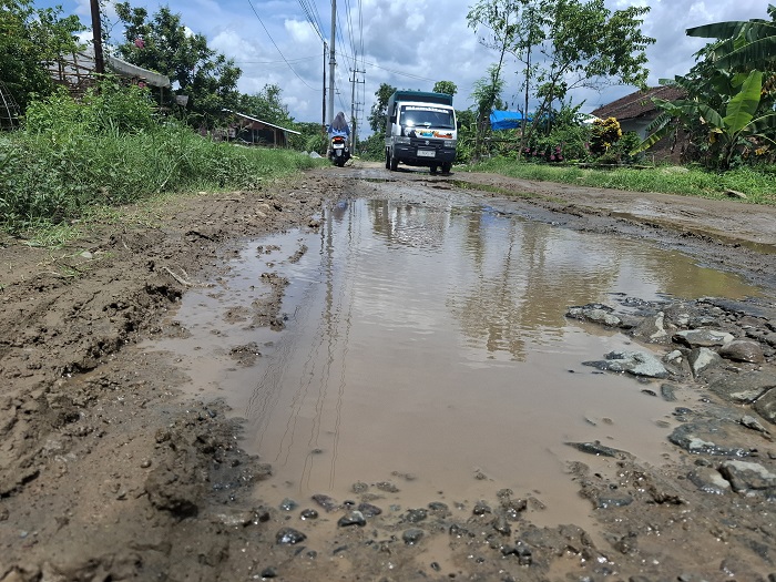 Kondisi jalan kabupaten ruas Jatigedong-Gedongombo, Kecamatan Ploso dikeluhkan warga sekitar