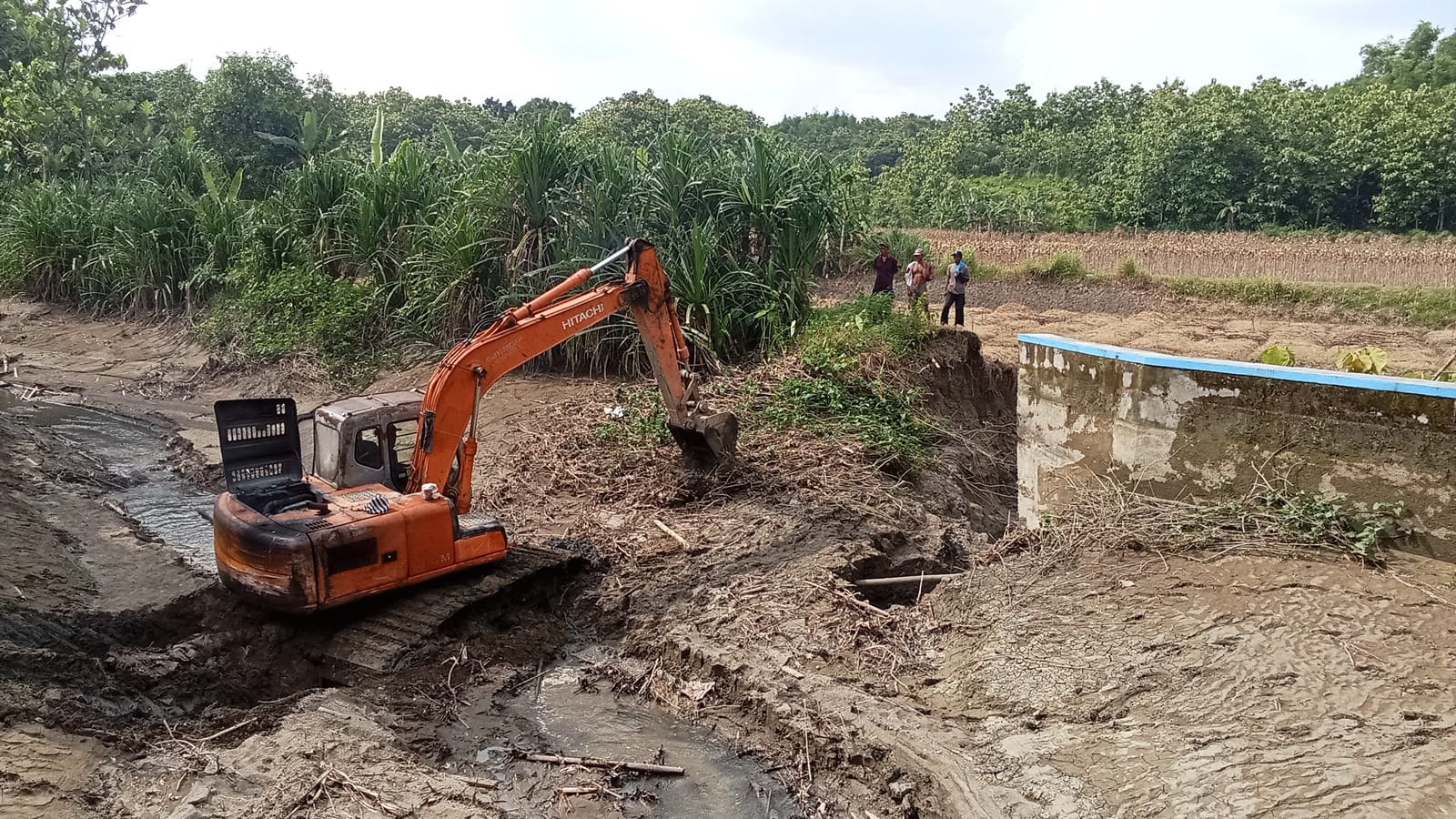 Tanggul di Desa Tanjungwadung Jombang jebol