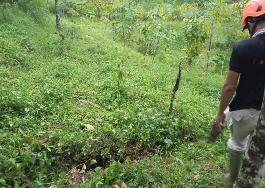 RETAK: Kondisi tanah retak di Dusun Jumok, Desa Sambirejo Kecamatan Wonosalam kemarin (8/12).