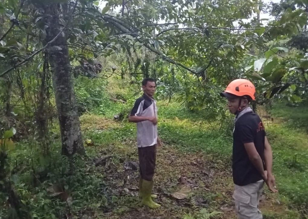 &nbsp;PERLU DIWASPADAI: Petugas BPBD Jombang saat meninjau lokasi tanah gerak di Dusun Jumok, Desa Sambirejo, Kecamatan Wonosalam.