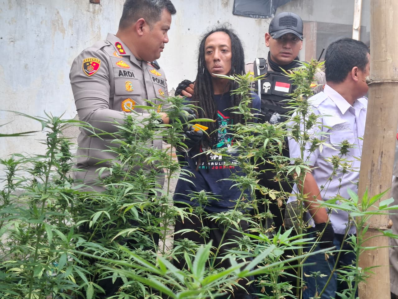 Polres Jombang menggerebek kebun ganja di sebuah rumah kontrakan di Dusun Mojongapit, Desa Mojongapit, Kecamatan Jombang, Senin (15/12).