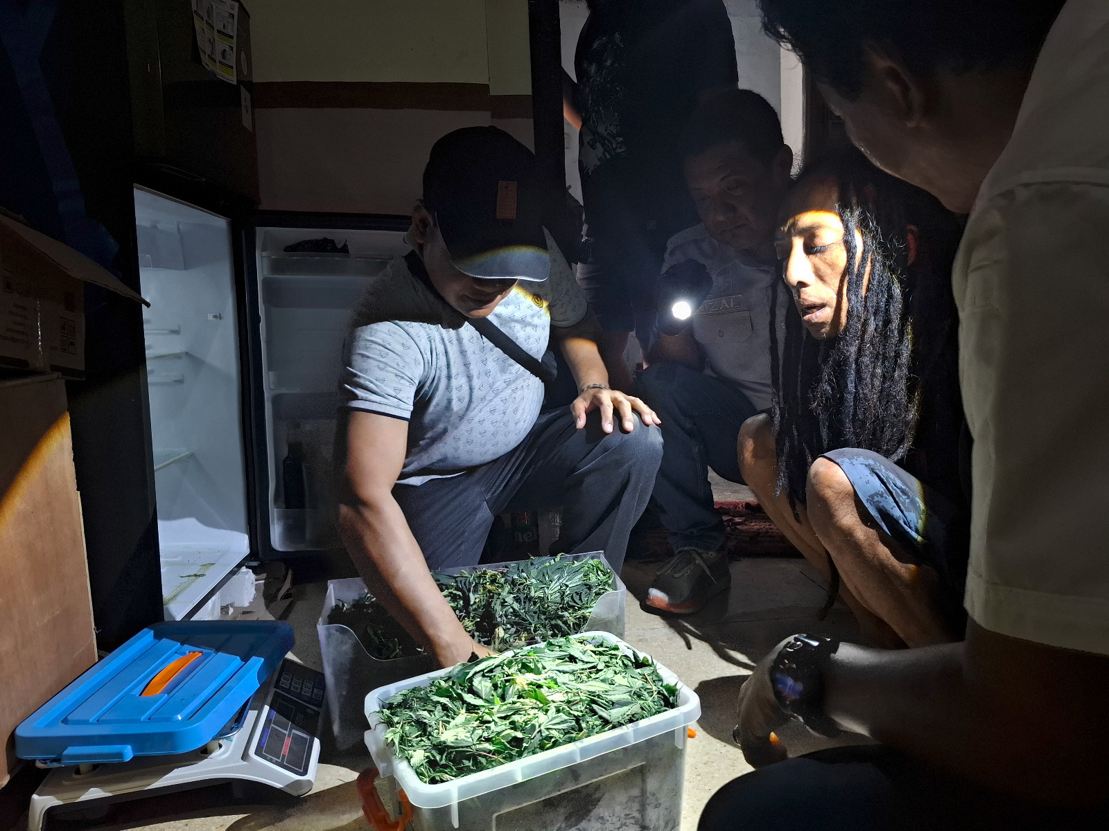 Polisi menggrebek sebuah rumah kontrakan yang dijadikan perkebunan ganja.