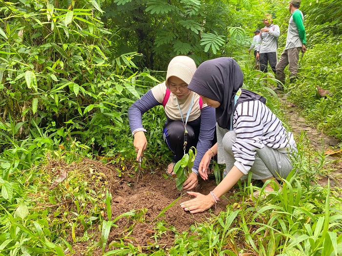 &nbsp;  DITANAM: Warga kampung adat Segunung Desa Carangwulung Kecamatan Wonosalam menanam bibit pohon di lahan kritis hutan Boscini, Kamis (11/12).  &nbsp;