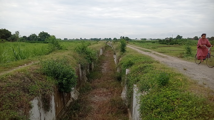 Kondisi proyek pariterong di Desa Kedawong Kecamatan Diwek