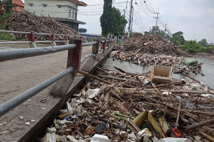 &nbsp;  PERLU DIBERSIHKAN: Sangkrah menumpuk di aliran Kali Marmoyo tepatnya jembatan Desa Gedongombo, Kecamatan Ploso, kemarin.  &nbsp;