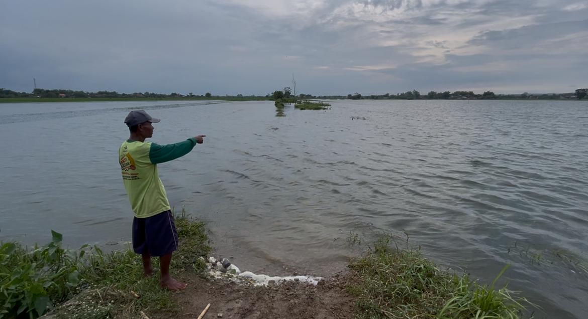 MIRIP LAUTAN: Banjir masih merendam areal sawah Dusun Ketapang Rejo, Desa Ketapang Kuning, Kecamatan Ngusikan Selasa, (13/1).  &nbsp;