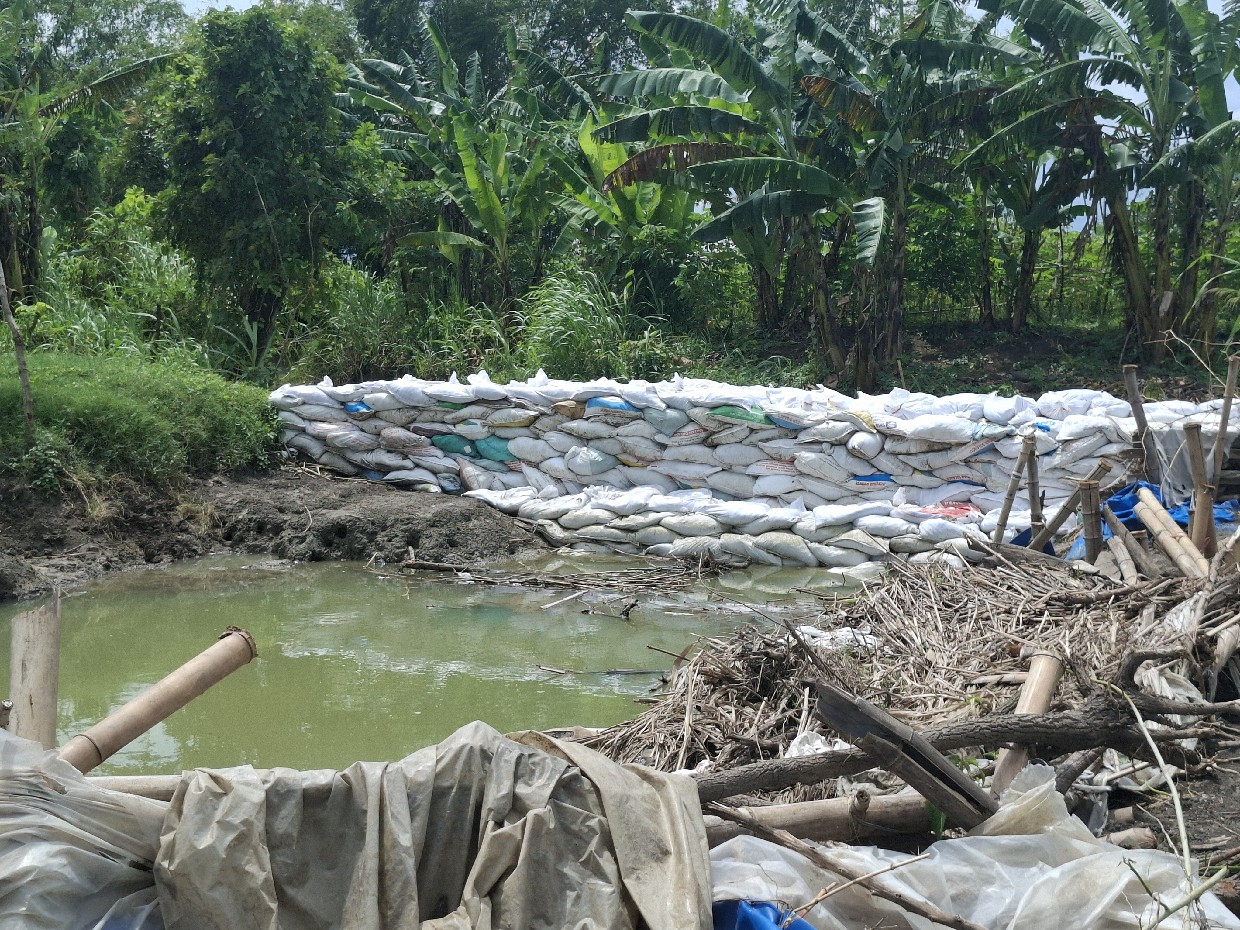 CEGAH BANJIR: Kondisi tanggul sudetan Kali Marmoyo di Desa Jatigedong, Kecamatan Ploso yang jebol ditangani darurat, (17/1).  &nbsp;