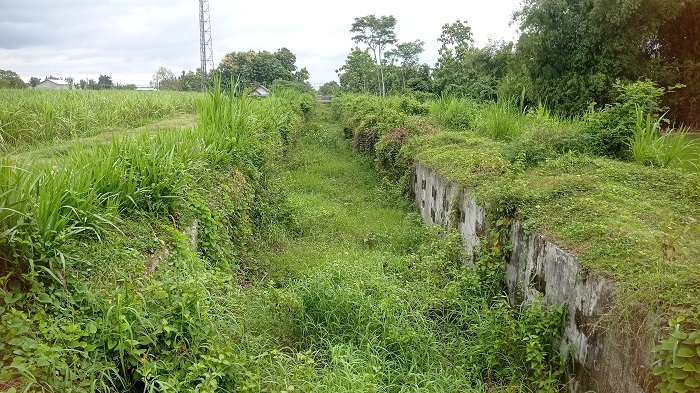 &nbsp;  NGANGGUR: Kondisi irigasi Pariterong di Dusun/Desa Pundong, Kecamatan Diwek yang ditumbuhi semak belukar.  &nbsp;