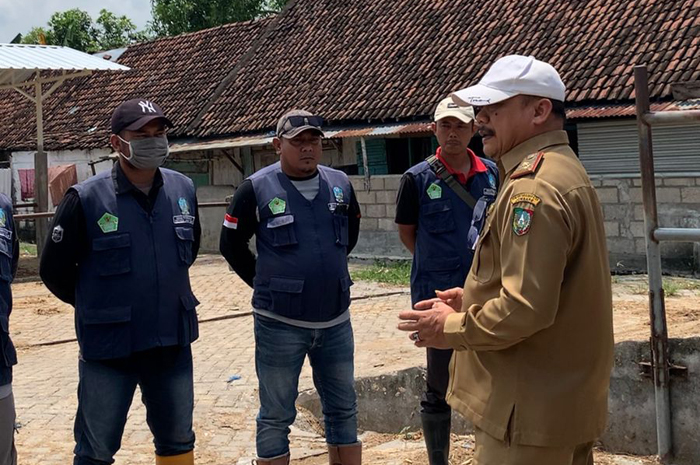 PENCEGAHAN: Disnak melakukan pemeriksaan rutin di peternak rakyat.  &nbsp;
