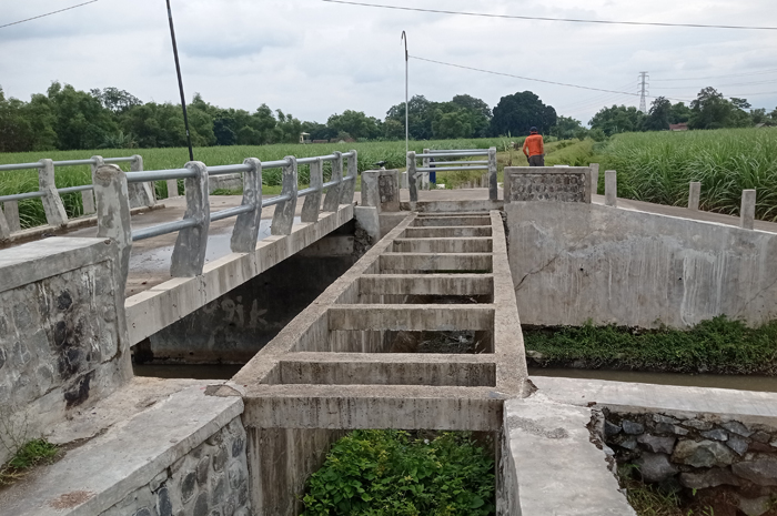 MANGKRAK: Kondisi lahan pariterong di Diwek yang mangkrak