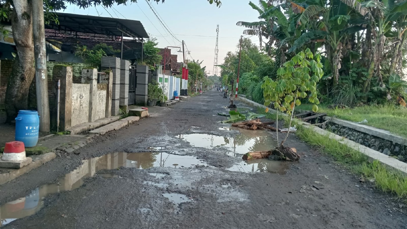 warga menanami jalan tersebut dengan pohon pisang dan singkong.