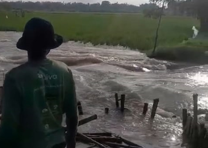 Tanggul darurat Kali Marmoyo di Desa Jatigedong, Kecamatan Ploso, kembali jebol, Kamis (5/2). Akibatnya air meluber dan menggenangi areal sawah warga.