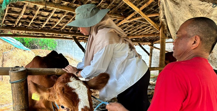 PENCEGAHAN: Dinas Peternakan melakukan vaksinasi massal di Desa Banyuarang, Kecamatan Ngoro, Jumat (6/2).  &nbsp;