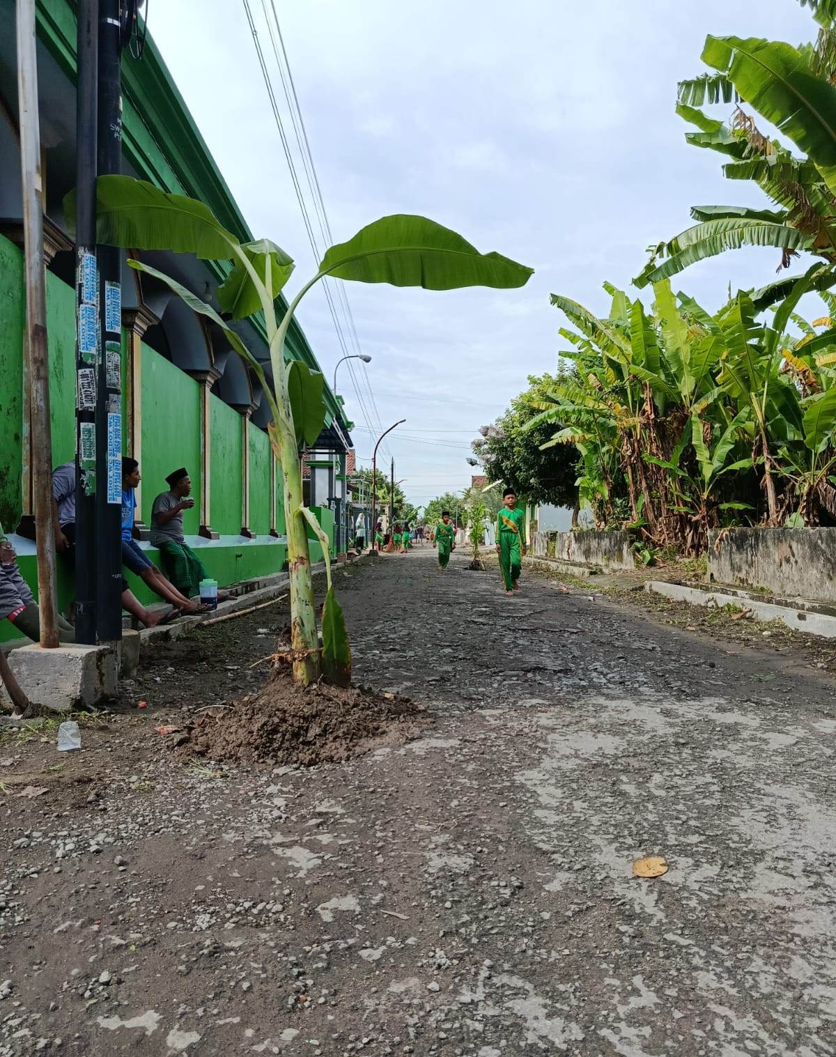 Jalan di Dusun Kemirigalih, Sawiji, Jombang yang ditanami pisang