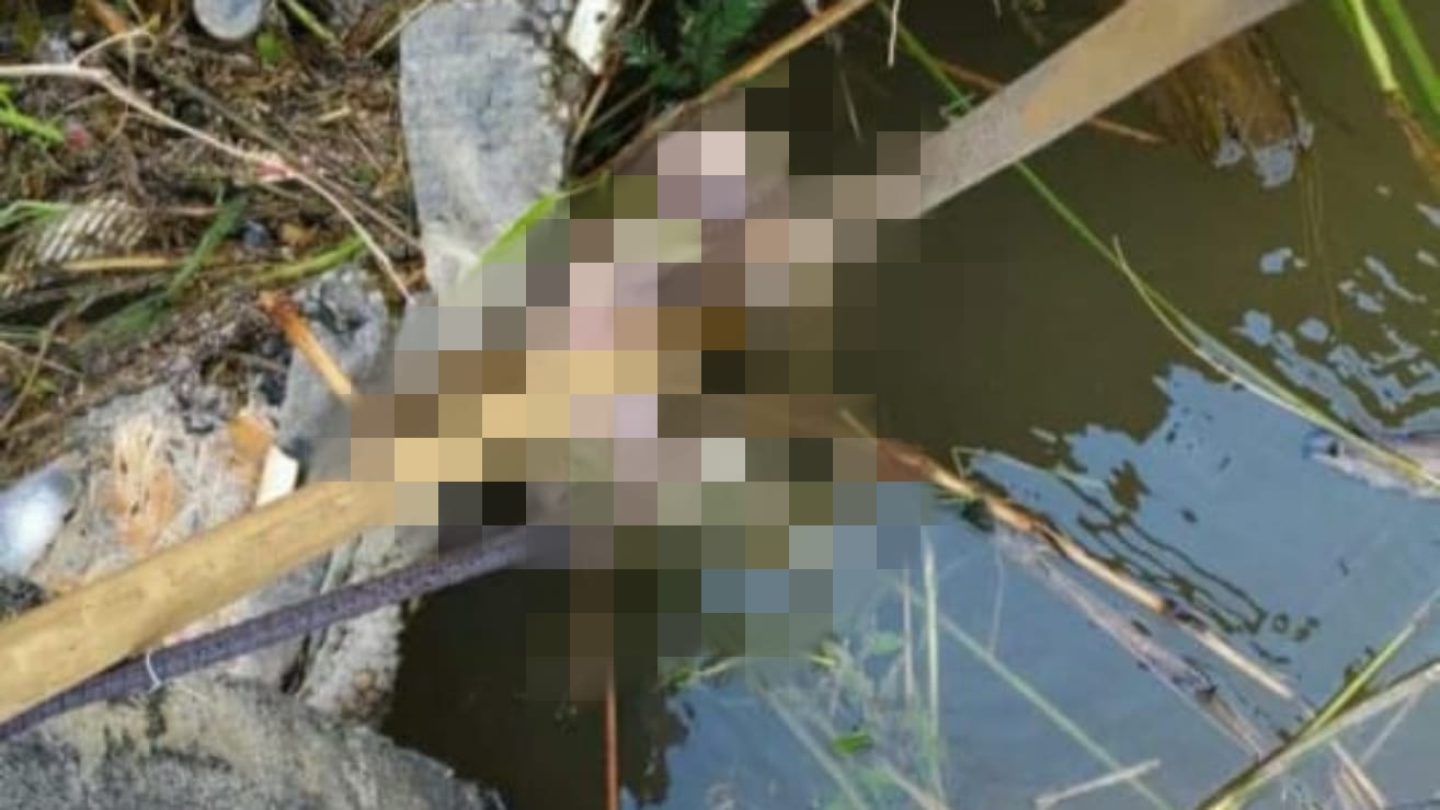 enemuan jasad bayi menhgegerkan warga Desa Sudimoro, Kecamatan Megaluh, Jombang Minggu (15/3) siang.