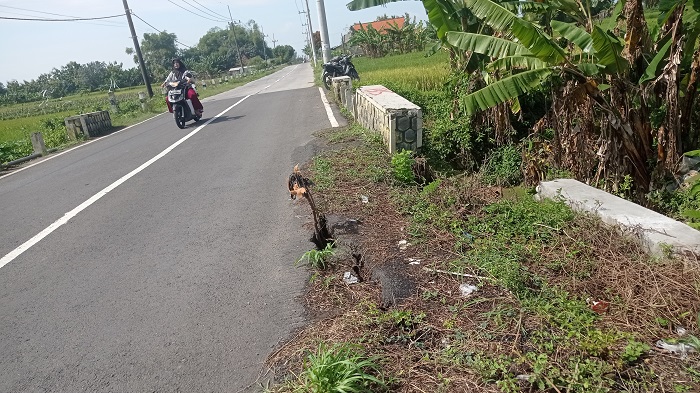   &nbsp;  RUSAK: Jalan di Desa Jatibanjar, Kecamatan Ploso yang berlubang ditandai kayu, (10/3).