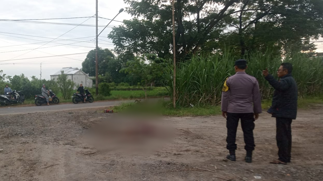 Polisi sedang melakukan olah kejadian perkara di lokasi penemuan jasad pria penuh luka di Tebel, Bareng, Jombang