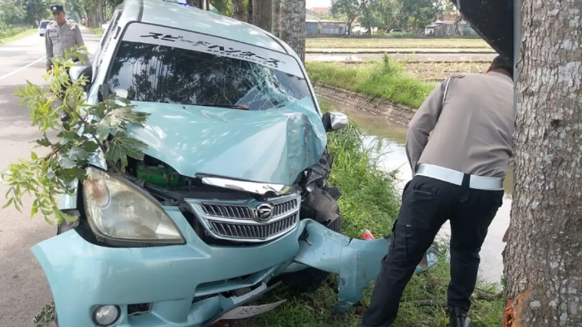 RINGSEK: Mobil Daihatsu Xenia ringsek setelah menambarak pohondi Gudo Jombang