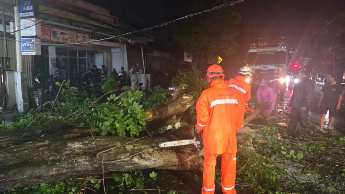 Angin kencang yang melanda wilayah Jombang menumbangkan pohon di Jalan Hasyim Asy’ari, Sabtu (28/3).