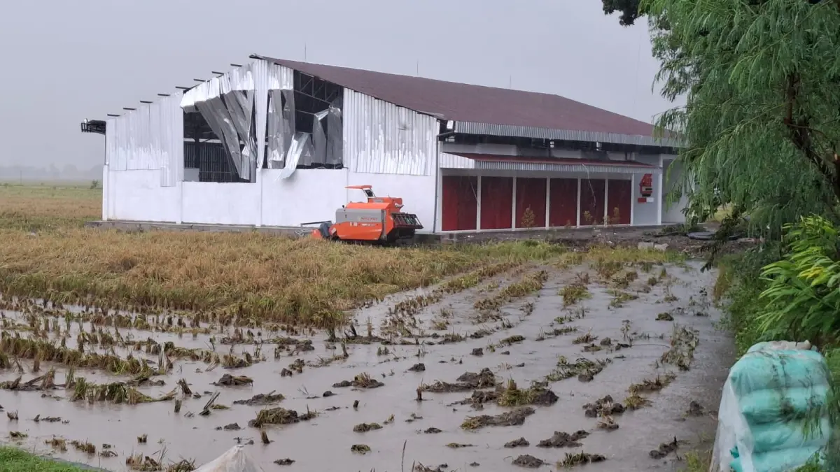 Bangunan KDMP di Desa Kedungrejo rusak disapu angin kencang