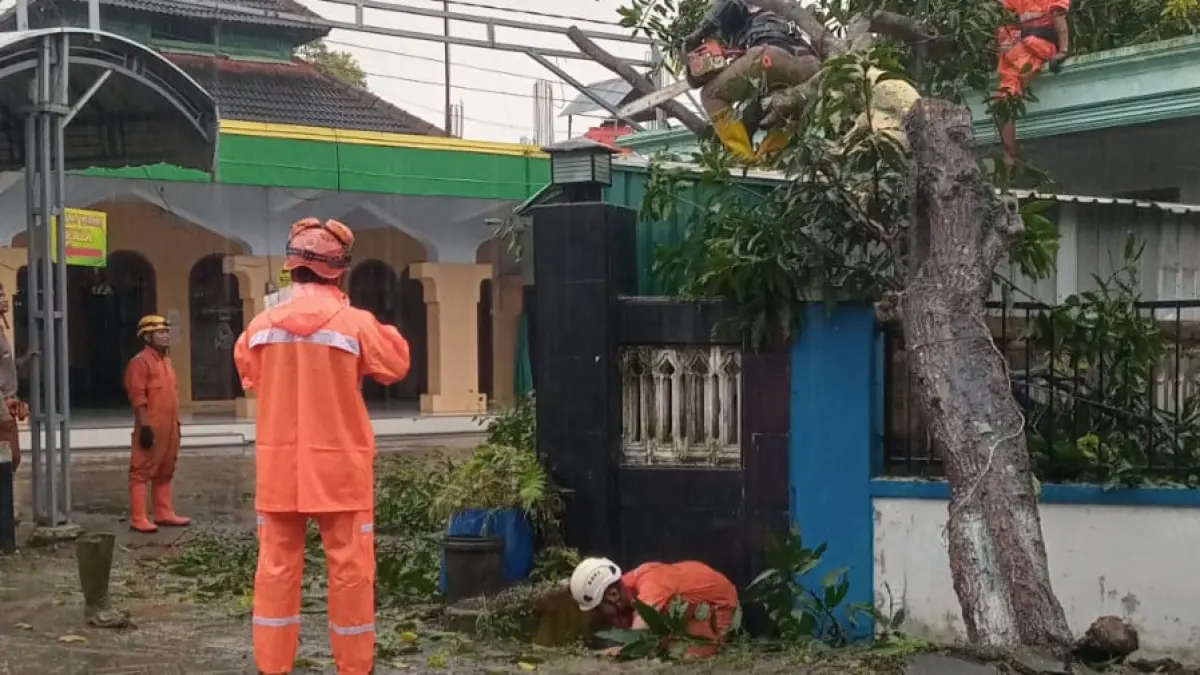 Puting beliung disertai hujan deras menerjang sejumlah wilayah di Kabupaten Jombang, Senin (30/3/2026) sore. Dampaknya, kerusakan terjadi di beberapa titik mulai permukiman warga, fasilitas umum hingga akses jalan utama yang sempat lumpuh.
