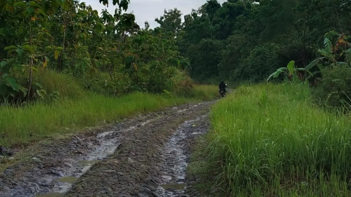 Akses Dusun Tambak Jiporapah yang dilalui guru-guru usai jalur Kedungcinet longsor