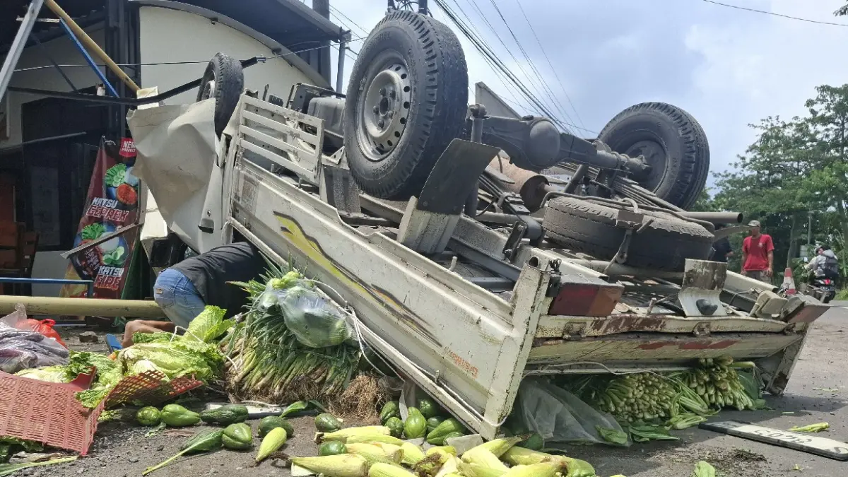 Pikap terbalik di pinggir Jl Prof Moh Yamin Pandanwangi Jombang, begini kronologinya (Achmad RW/Radar Jombang)
