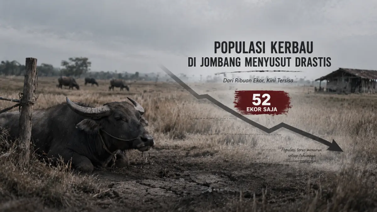 ilustrasi kerbau (ai)